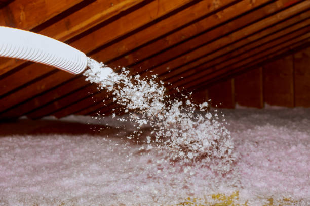 Best Specialized Insulation Services in Ottumwa, IA